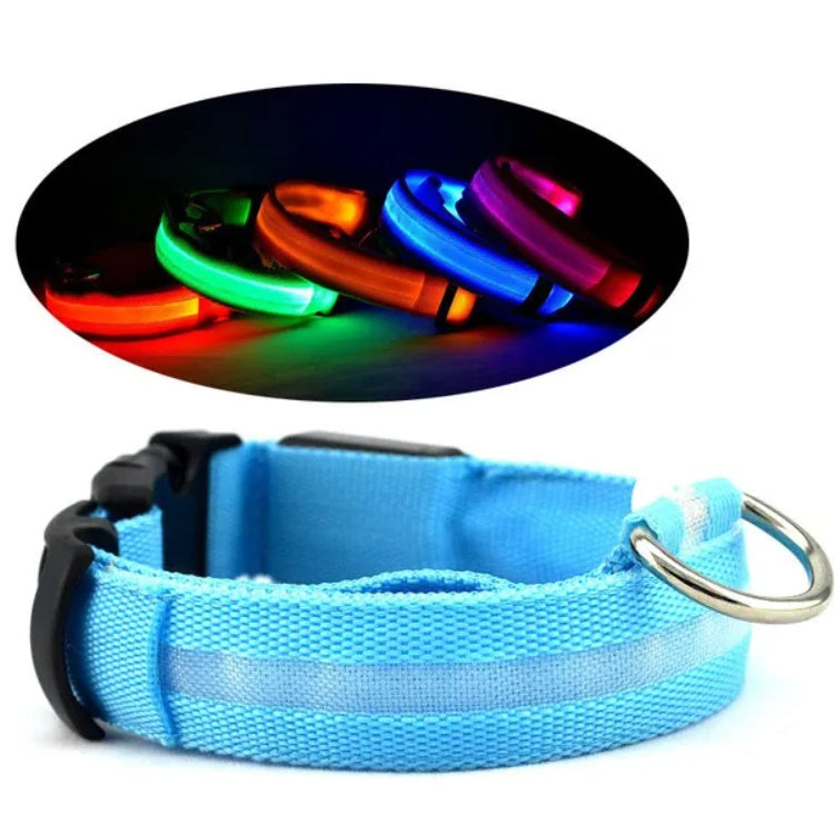 GlowSafe™ LED Dog Collar – Night Visibility & Safety for Your Pup - WoofieThings