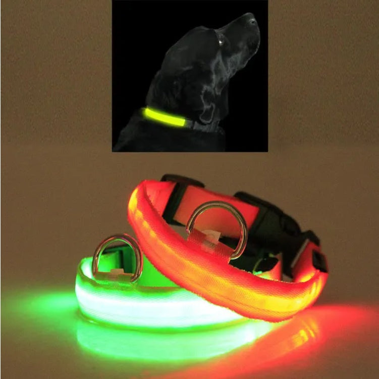 GlowSafe™ LED Dog Collar – Night Visibility & Safety for Your Pup - WoofieThings