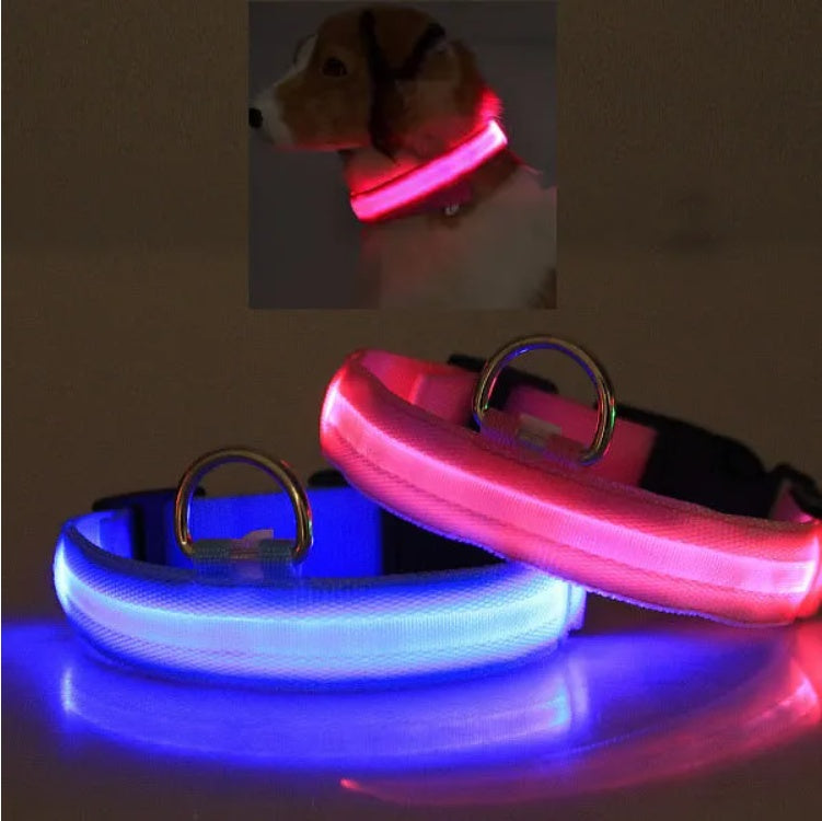 GlowSafe™ LED Dog Collar – Night Visibility & Safety for Your Pup - WoofieThings