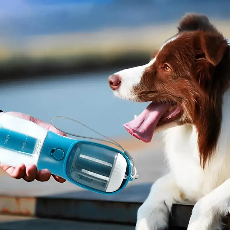 🐶 PawPort™ 3-in-1 Dog Travel Bottle