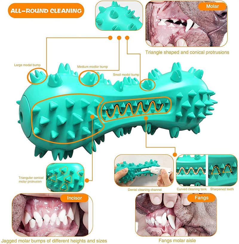ChewPro™ Dog Dental Toy – Interactive Chew Toy for Clean Teeth & Mental StimulationDogs Rubber Molar Stick Dog Oral Teeth - WoofieThings