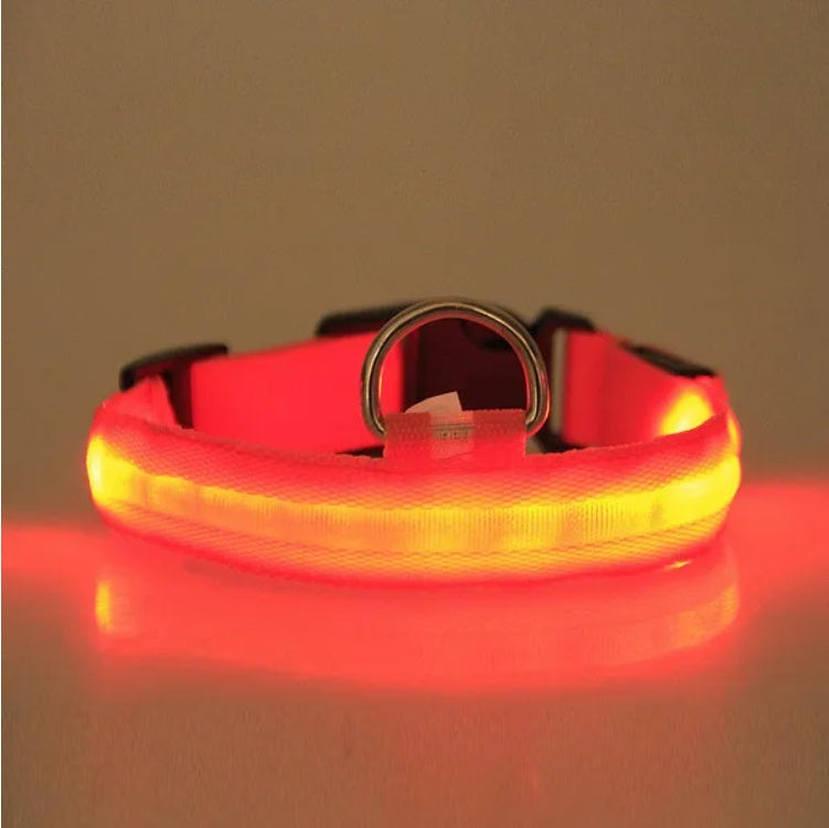 GlowSafe™ LED Dog Collar – Night Visibility & Safety for Your Pup - WoofieThings