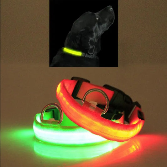 GlowSafe™ LED Dog Collar – Night Visibility & Safety for Your Pup
