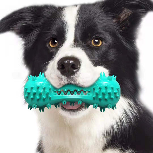 ChewPro™ Dog Dental Toy – Interactive Chew Toy for Clean Teeth & Mental StimulationDogs Rubber Molar Stick Dog Oral Teeth - WoofieThings 